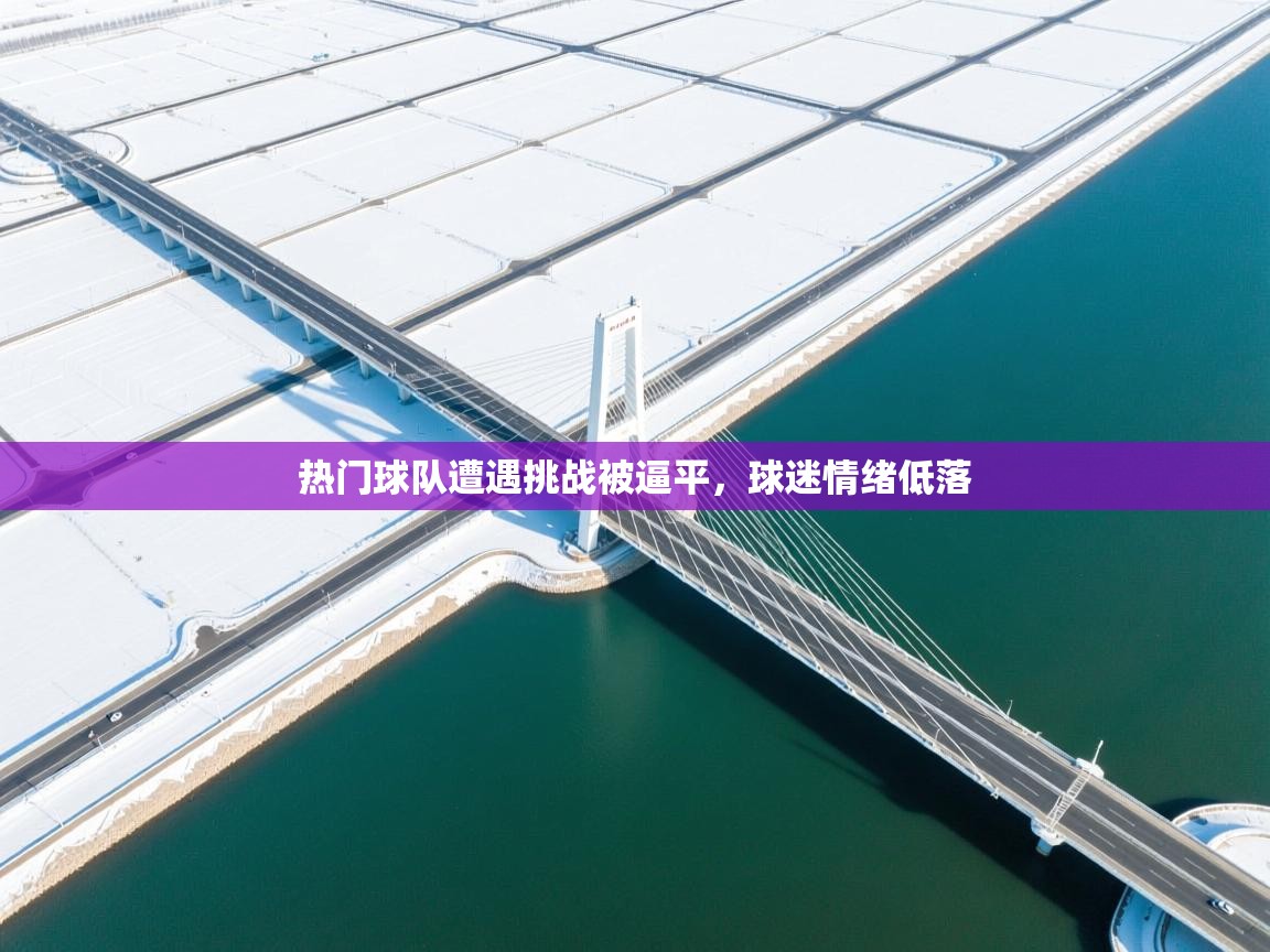 热门球队遭遇挑战被逼平，球迷情绪低落