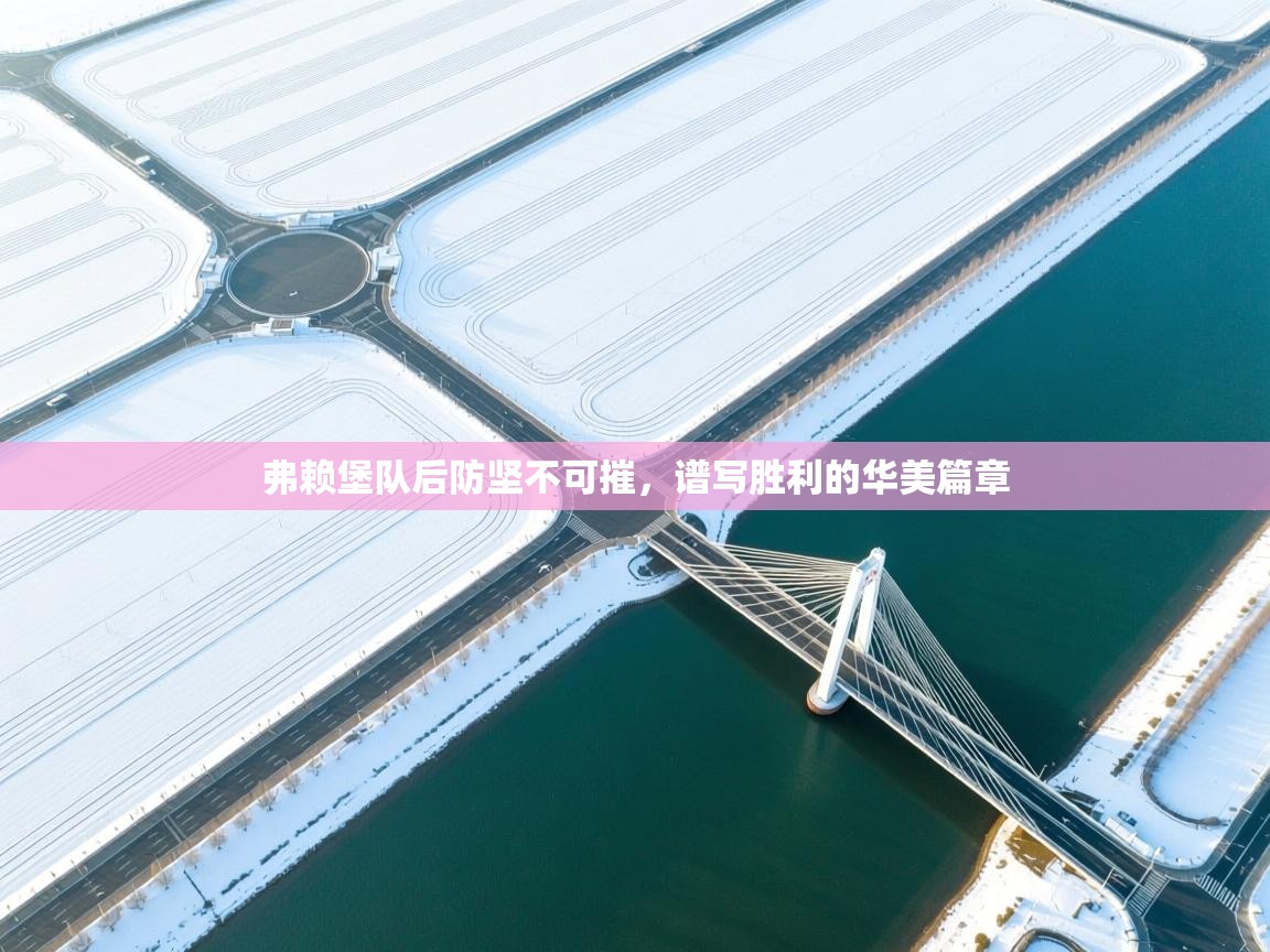 弗赖堡队后防坚不可摧，谱写胜利的华美篇章  第1张