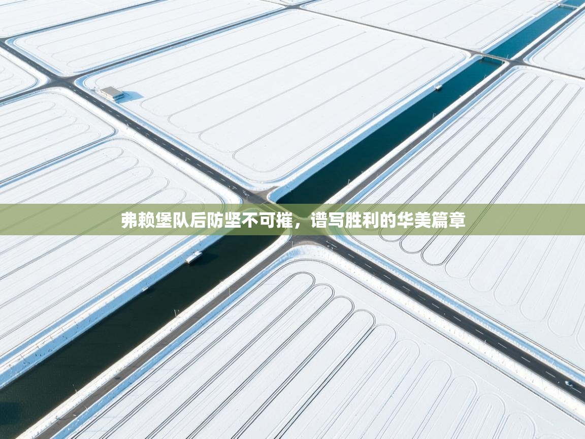 弗赖堡队后防坚不可摧，谱写胜利的华美篇章  第2张