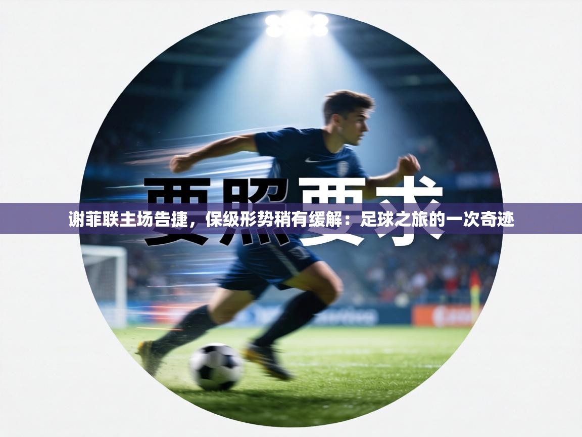 谢菲联主场告捷，保级形势稍有缓解：足球之旅的一次奇迹  第2张