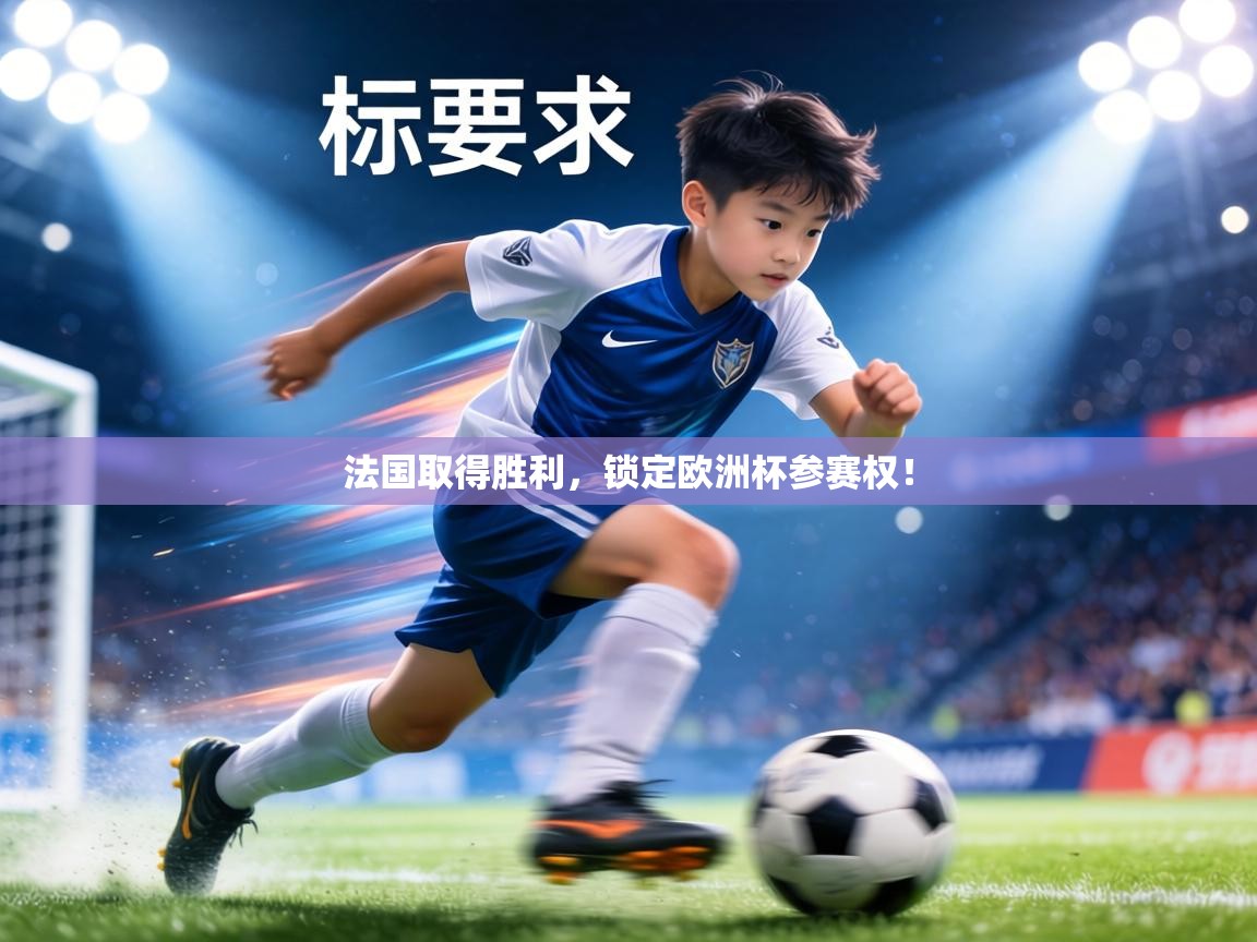 法国取得胜利，锁定欧洲杯参赛权！  第1张