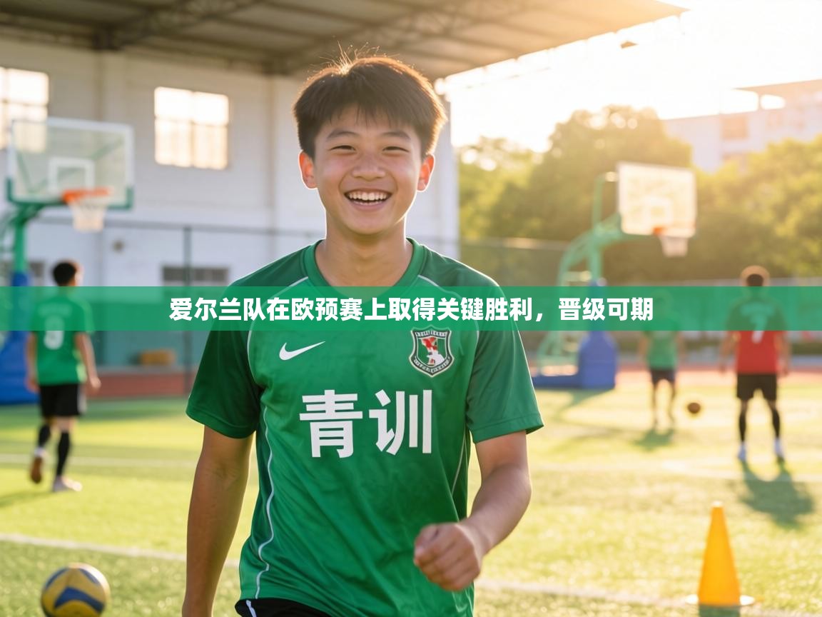 爱尔兰队在欧预赛上取得关键胜利，晋级可期